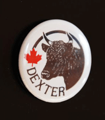 Fridge Magnet